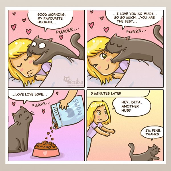 Catsu the Cat Comics - Cat Comics By Daria