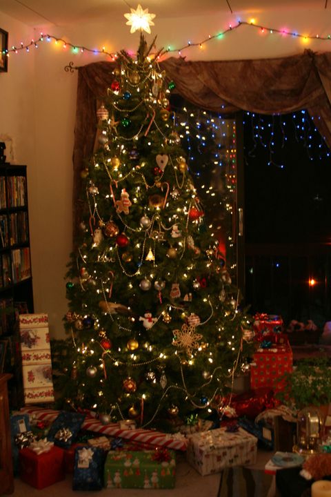Christmas, Christmas tree, Christmas ornament, Christmas decoration, Tree, Home, Holiday ornament, Spruce, Christmas lights, Branch, 