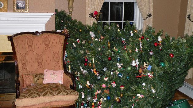 how do i stop my dog from drinking christmas tree water