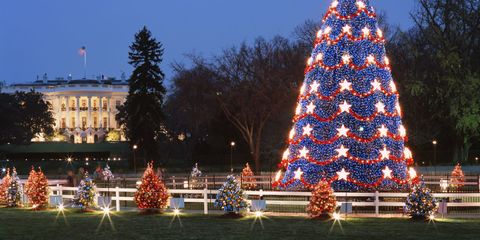 Lighting, Event, Christmas decoration, Tree, Christmas tree, Winter, Christmas eve, Holiday, Christmas lights, Woody plant, 