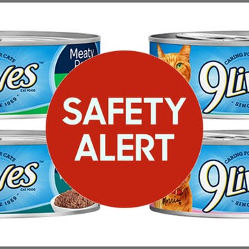 9Lives Cat Food Recall
