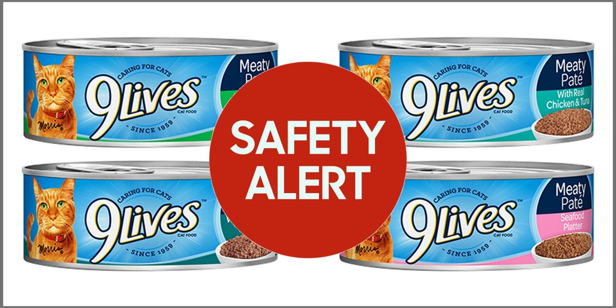 9Lives, EverPet, Special Kitty Cat Food Recalled Thiamine Deficiency