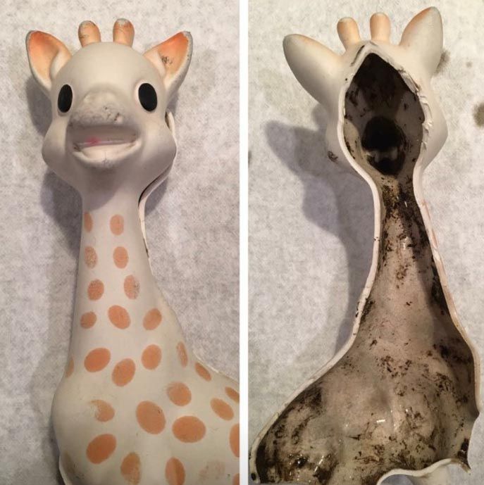 chewy giraffe toy