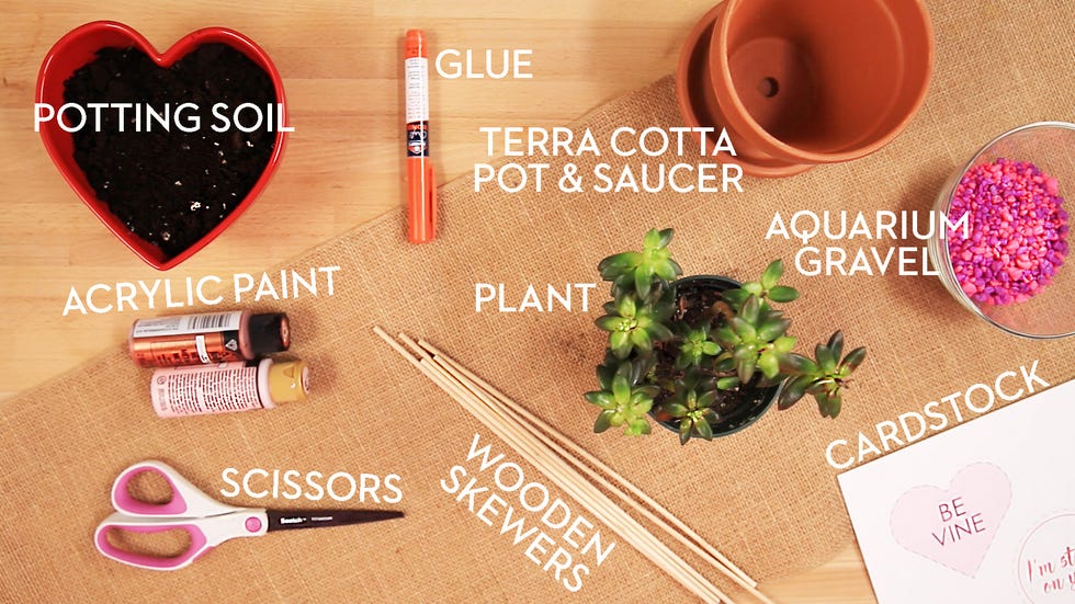 DIY Valentine's Day Planters Supplies