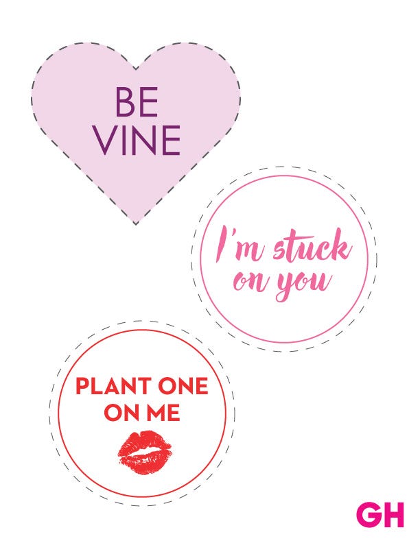 Valentine's Day Plant Signs