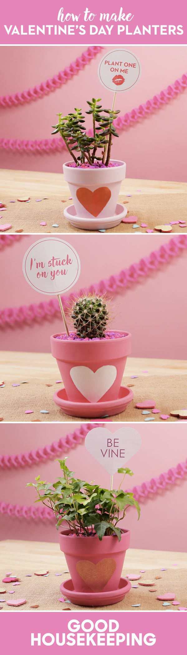 DIY Valentine's Day Planter