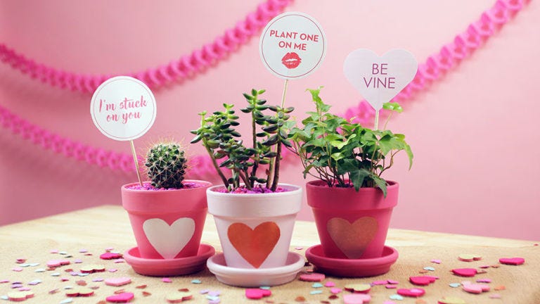 DIY Valentine's Day Planters