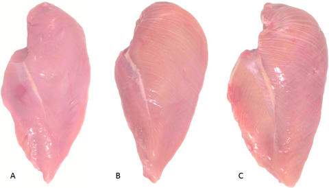 White Striping Is Affecting More Chicken Breasts - Is Chicken Healthy?