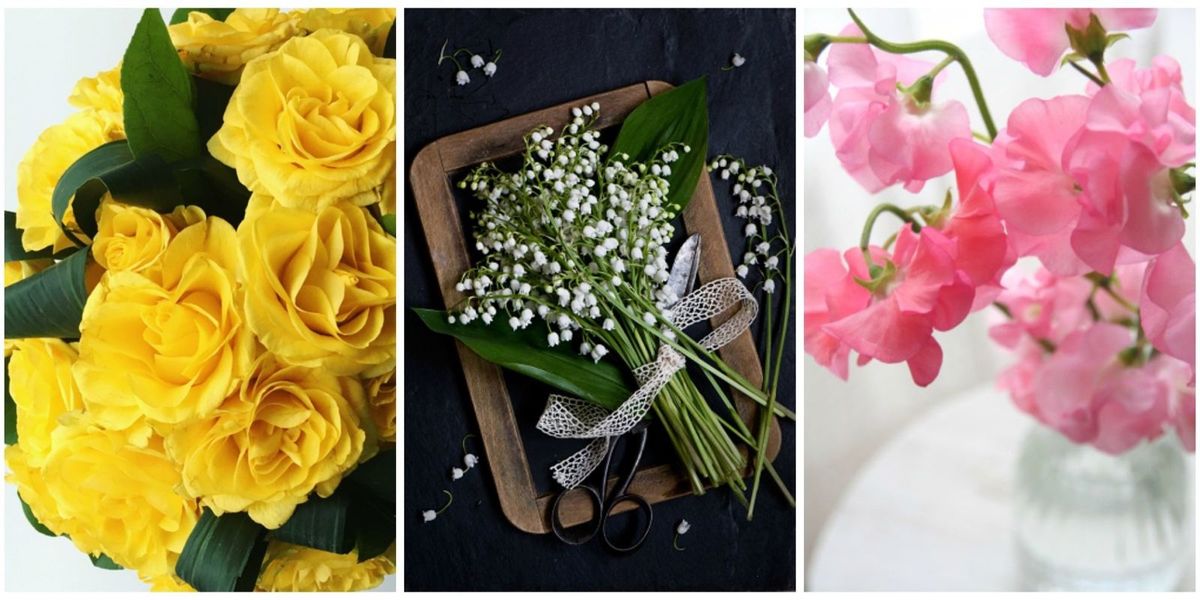 41 Flowers With Surprising Meanings Meanings of Flowers