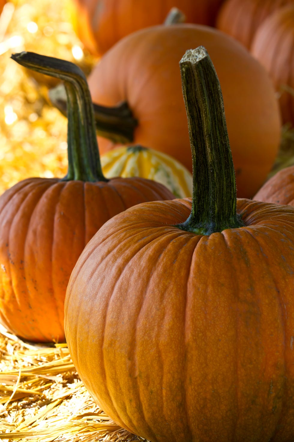 Weird Facts About All 50 States