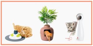 Cat, Flowerpot, Felidae, Small to medium-sized cats, Houseplant, Whiskers, Plant, Tail, Illustration, 