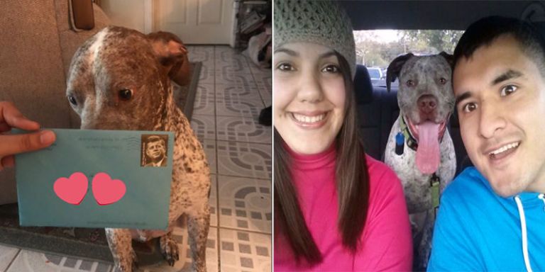 This Woman's Ex Still Sends Birthday Gifts to Their Dog Every Year