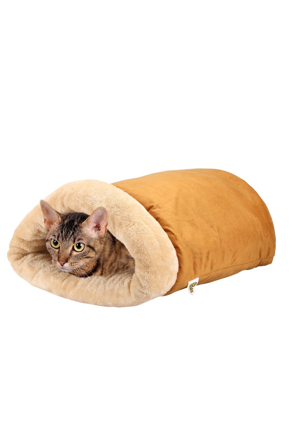 Brown, Skin, Carnivore, Felidae, Small to medium-sized cats, Mammal, Cat, Comfort, Whiskers, Tan, 