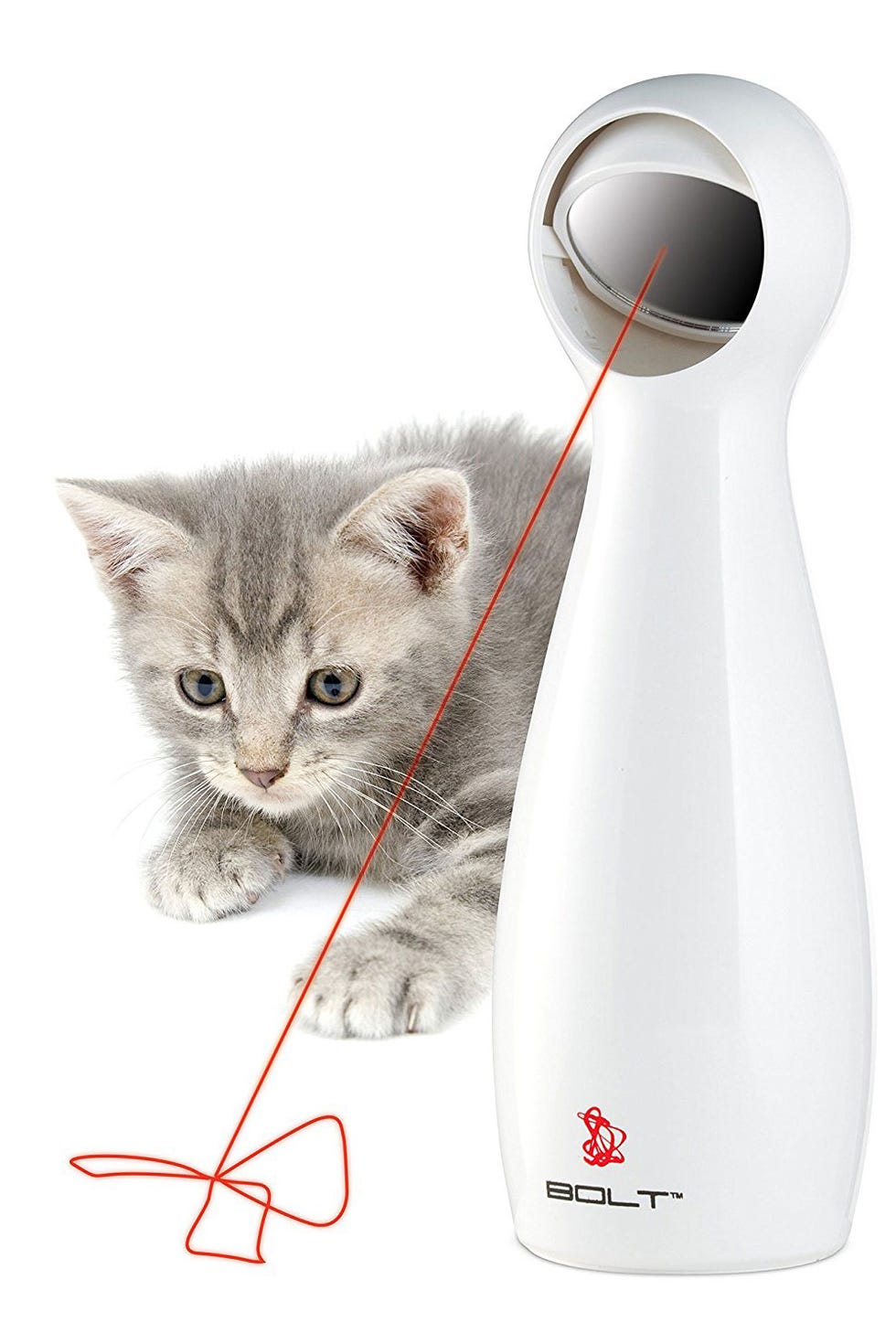 Cat, Small to medium-sized cats, Felidae, Kitten, Whiskers, Carnivore, Milk, 