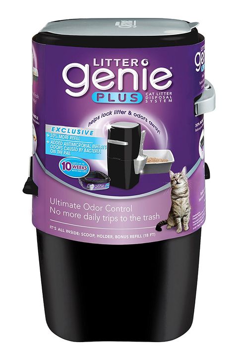 Genius Amazon Cat Products - Cat Owner Products on Amazon