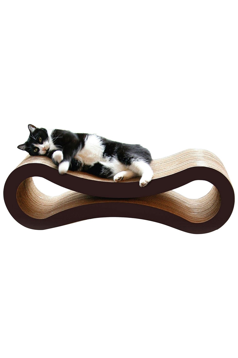 Brown, Comfort, Vertebrate, Small to medium-sized cats, Felidae, Carnivore, Cat, Beige, Tan, Pet supply, 