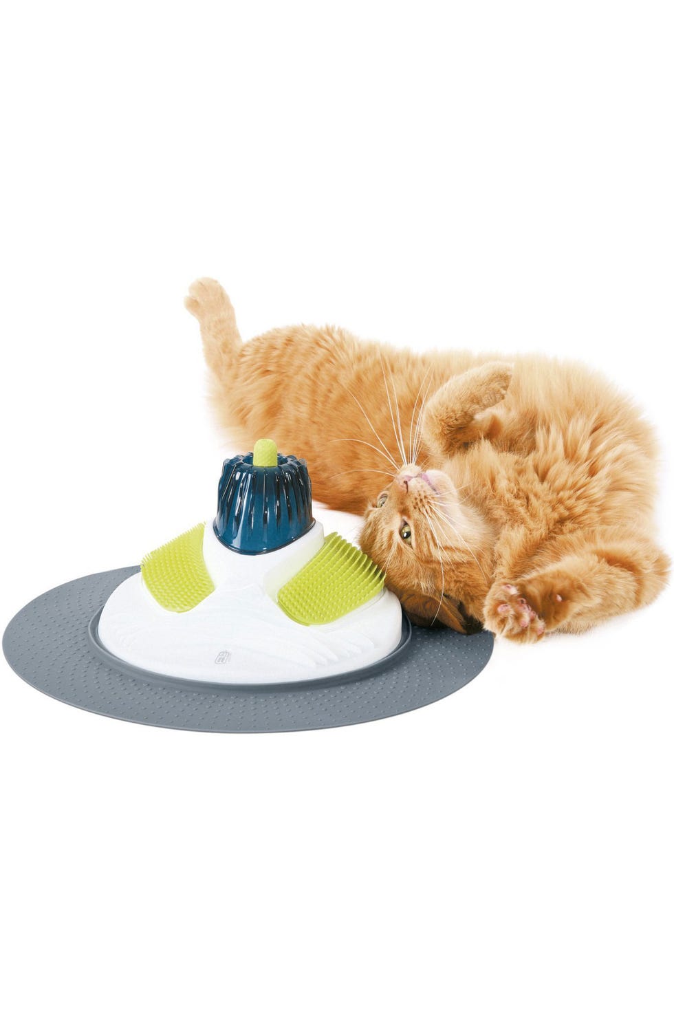 Cat toy, Dog toy, Beige, Canidae, Dog supply, Puppy, Sporting Group, Cat supply, Food, Dog bed, 