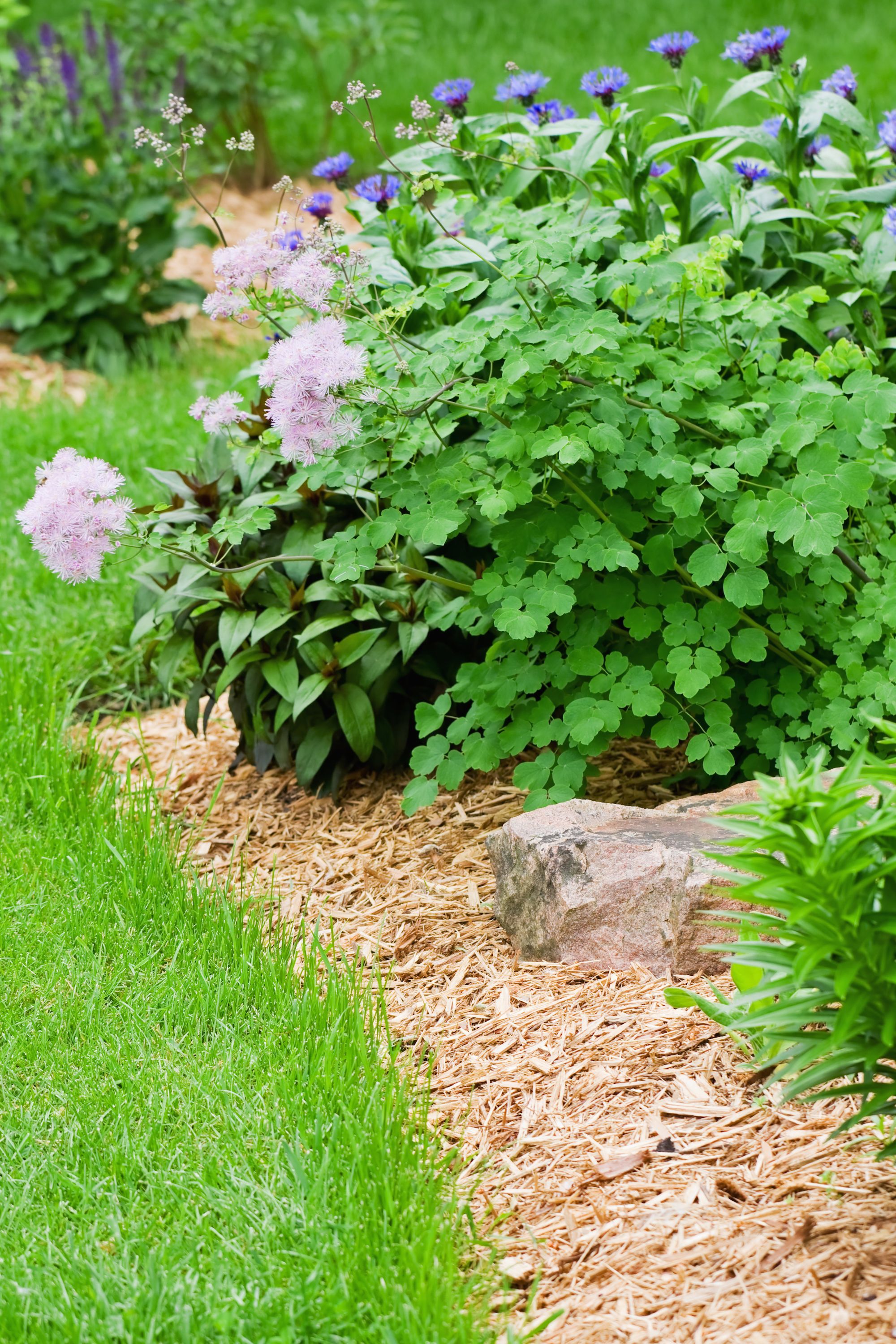15 Homemade Organic Weed Killers How To Kill Weeds Naturally