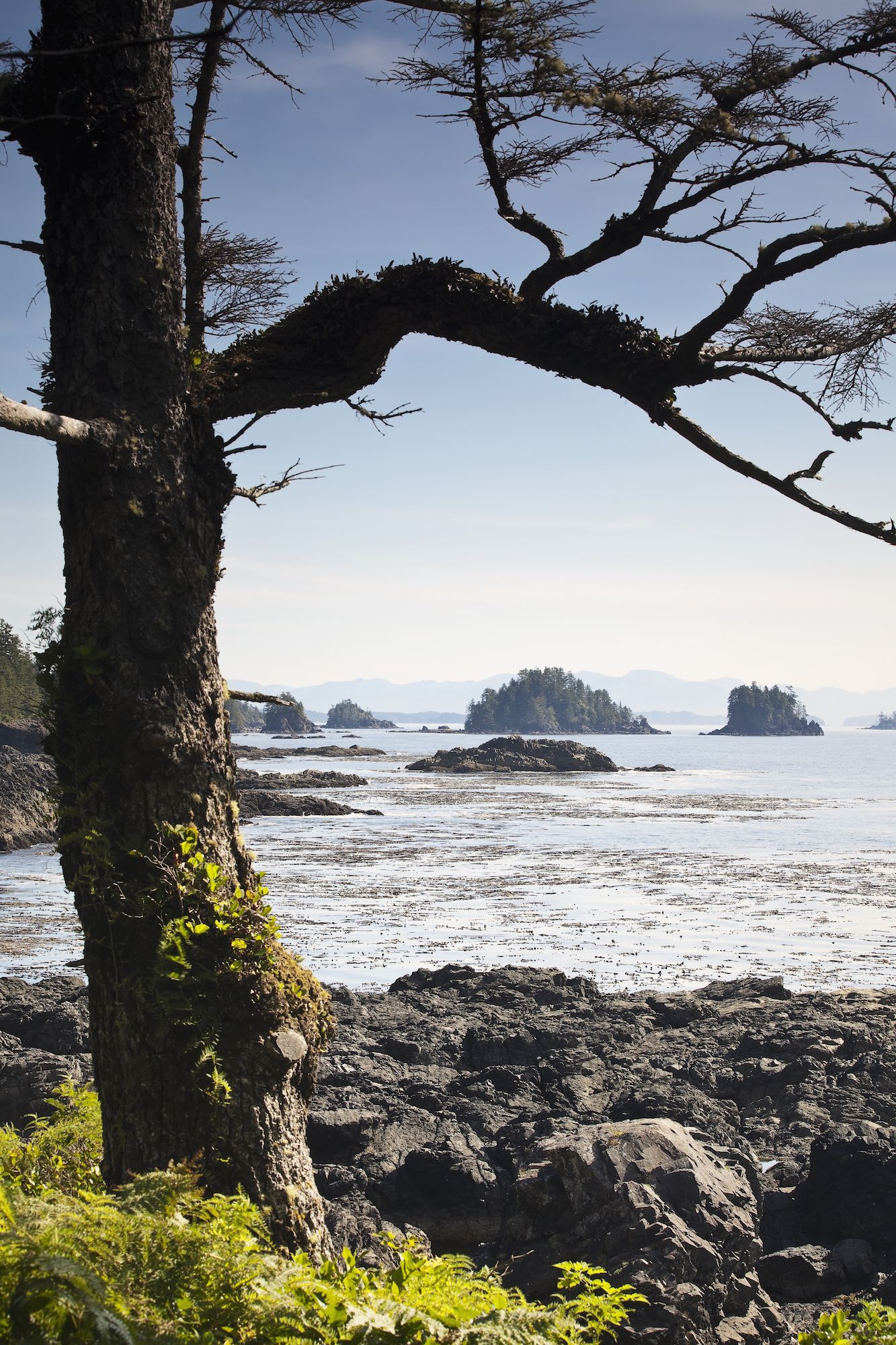 The 50 Most Epic Places To Hike Around The World