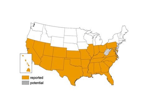 Triatomine Bug Occurrence by State