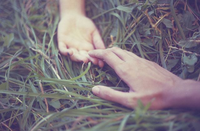 People in nature, Grass, Hand, Finger, Leaf, Nail, Grass family, Leg, Plant, Tree, 