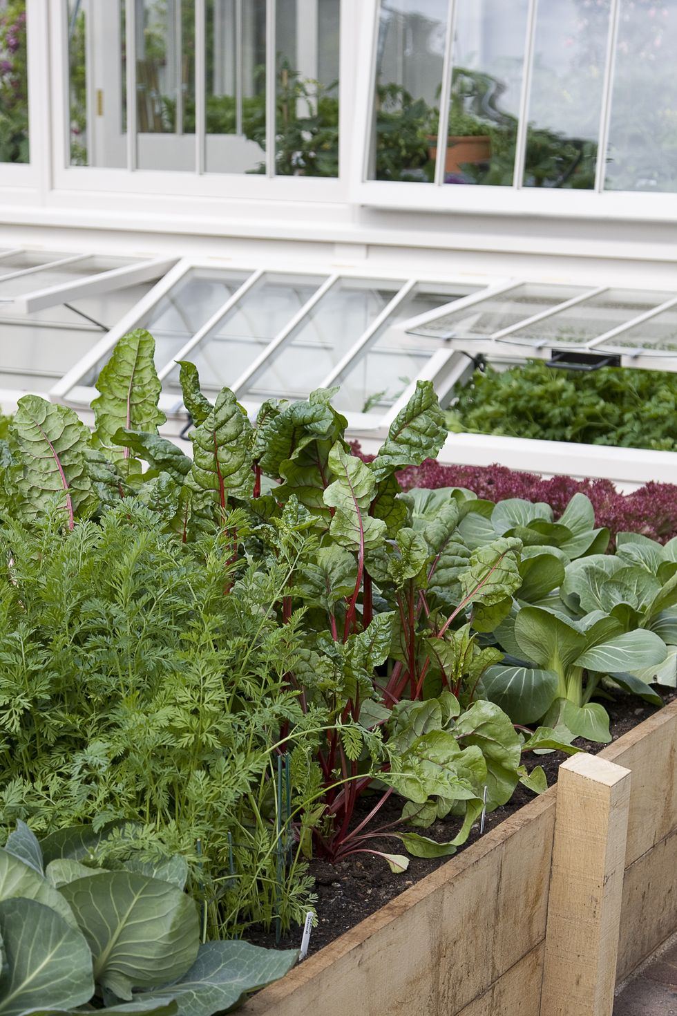 raised vegetable garden bed