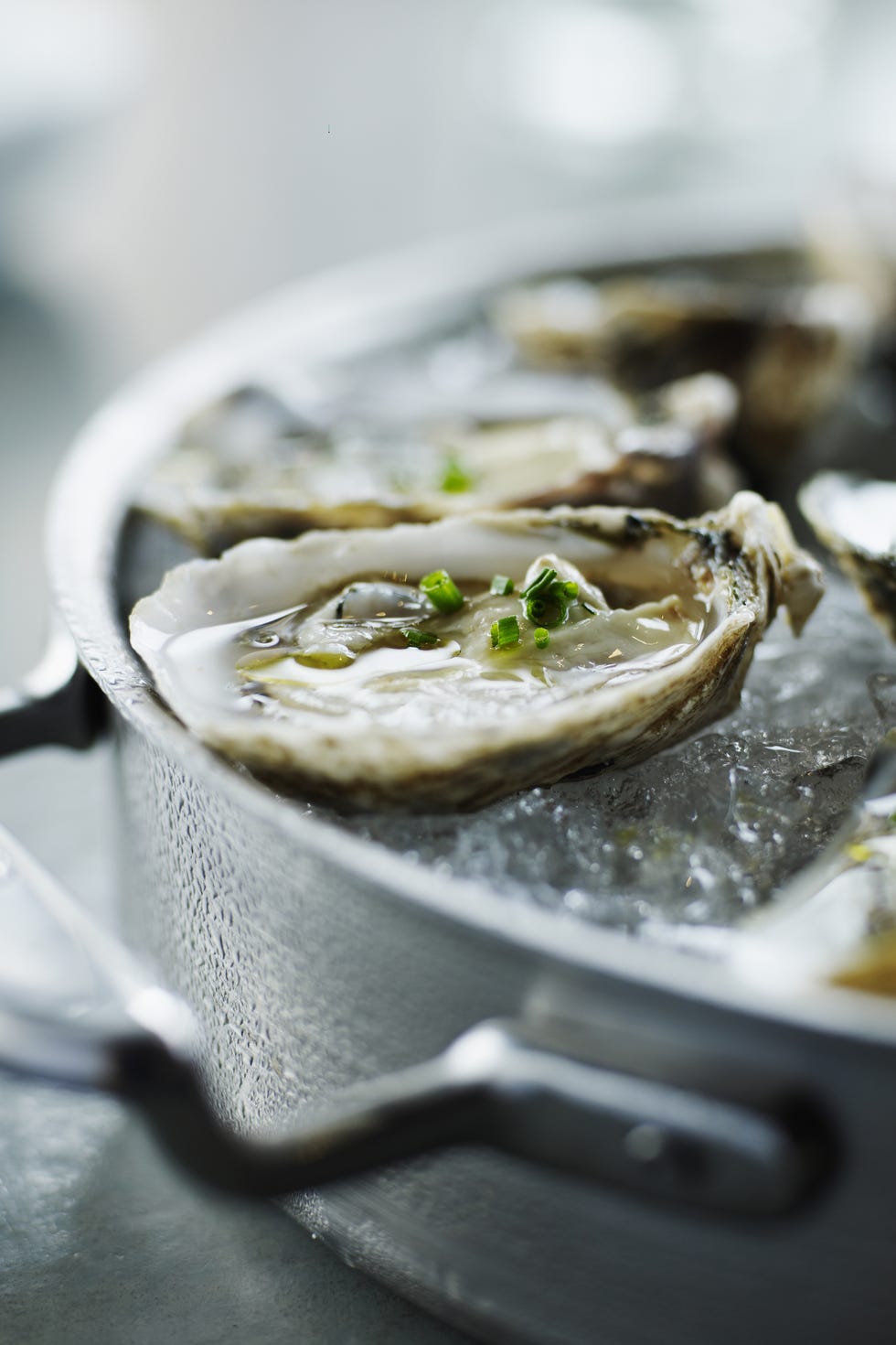 oysters