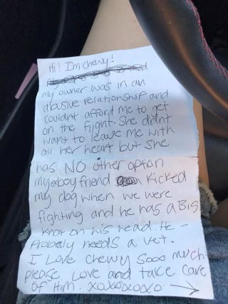 Abandoned dog found in airport bathroom