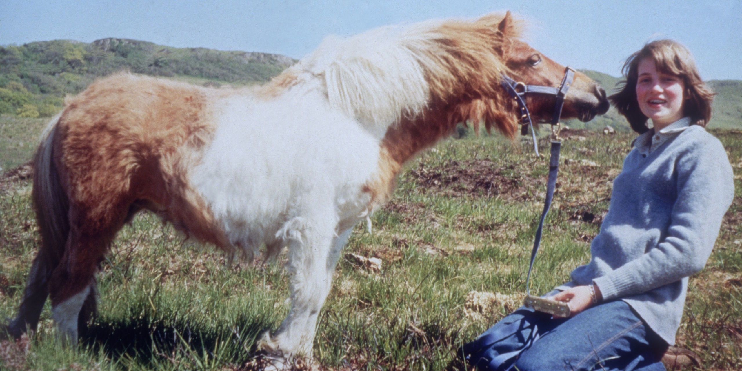 diana plays with toy horses