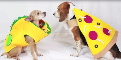 Taco Pizza Dog Emoji Costume