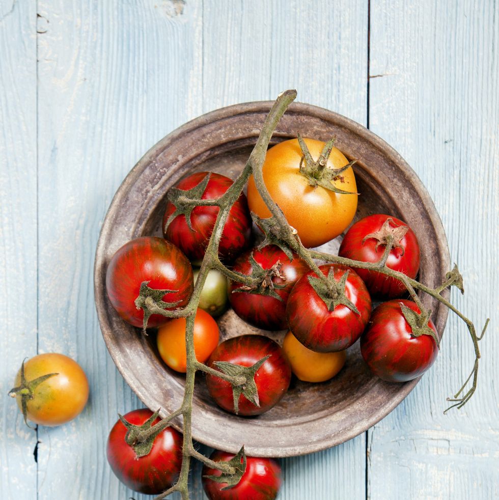 tomatoes on the vine in a wooden bowl on a blue wooden table