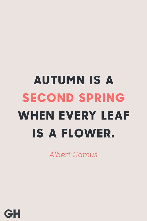 22 Best Fall Quotes - Sayings About Autumn