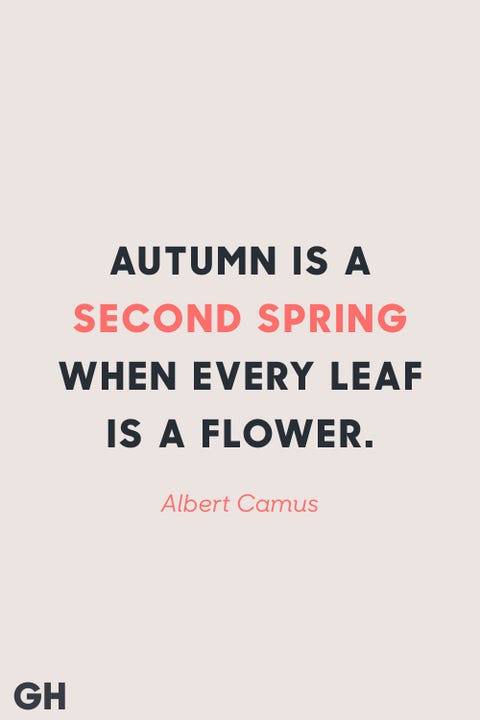 Fall Quotes Cool 48 Best Fall Quotes Sayings About Autumn Fall Quotes Cool 48 Best Fall Quotes Sayings About Autumn