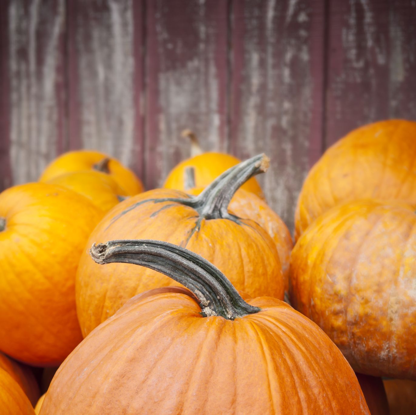 Origins of Halloween: The Holiday's Meaning & Traditions