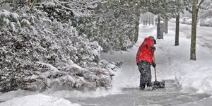 Winter, Branch, Freezing, Snow, Winter sport, Outdoor recreation, Ski pole, Ski Equipment, Geological phenomenon, Blizzard, 