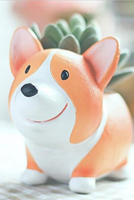 25+ Best Gifts Under $30 - Presents Under Thirty Dollars
