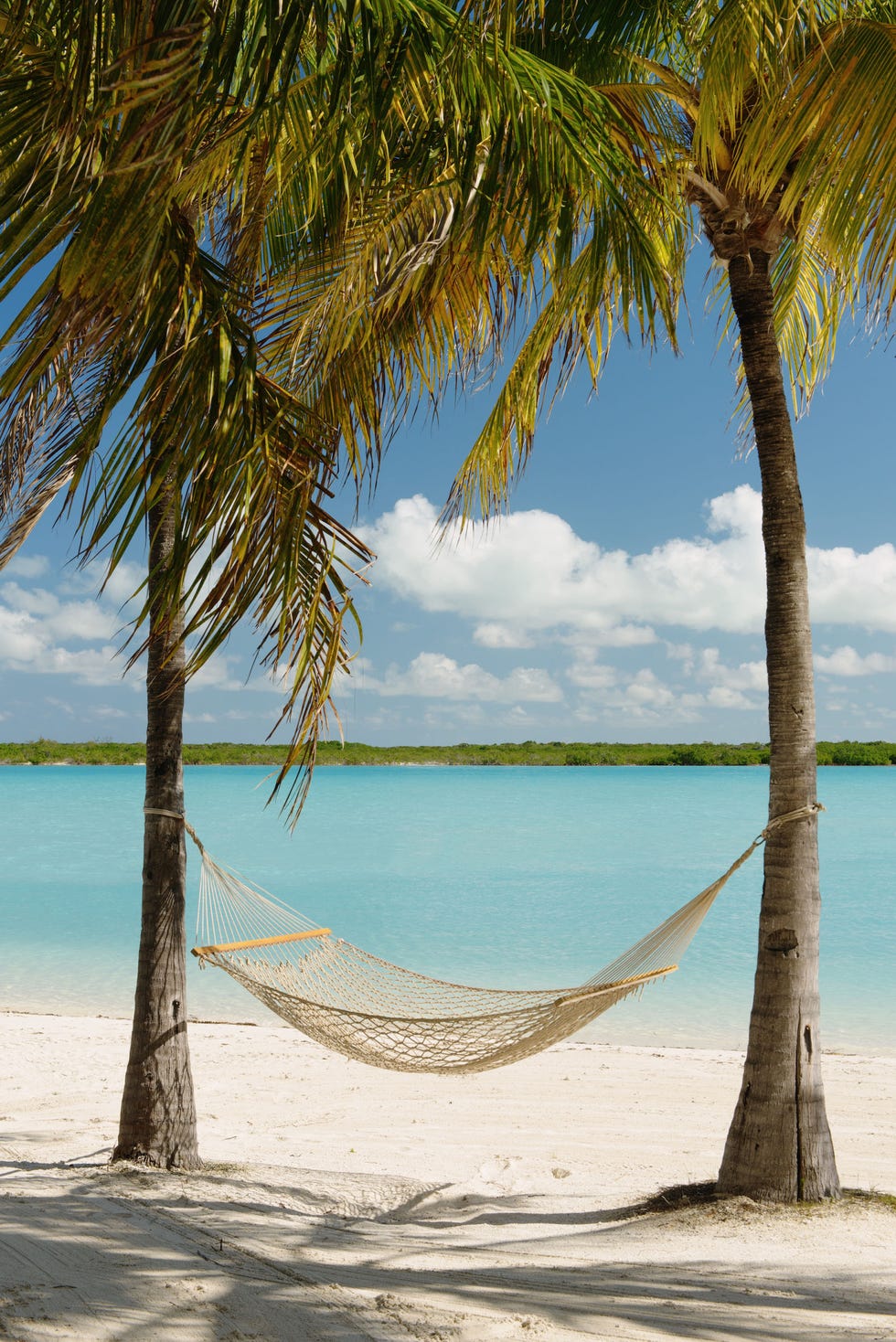 hammock at beach