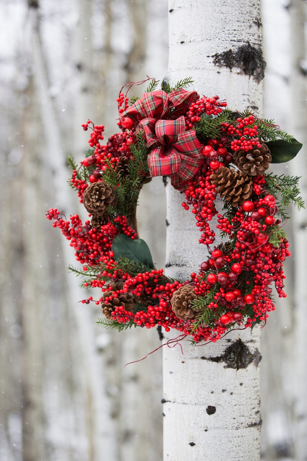 christmas wreath