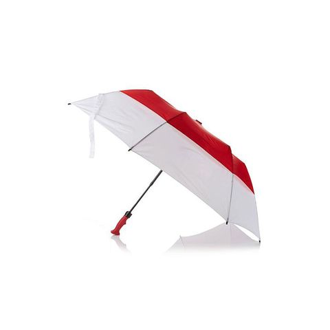 Red, Umbrella, Fashion accessory, Table, Plant, 