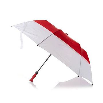 Red, Umbrella, Fashion accessory, Table, Plant, 