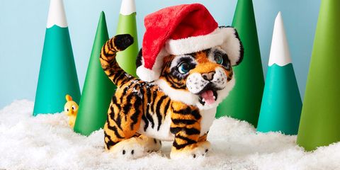 Felidae, Tiger, Christmas, Carnivore, Canidae, Fictional character, Winter, Party hat, Playing in the snow, 