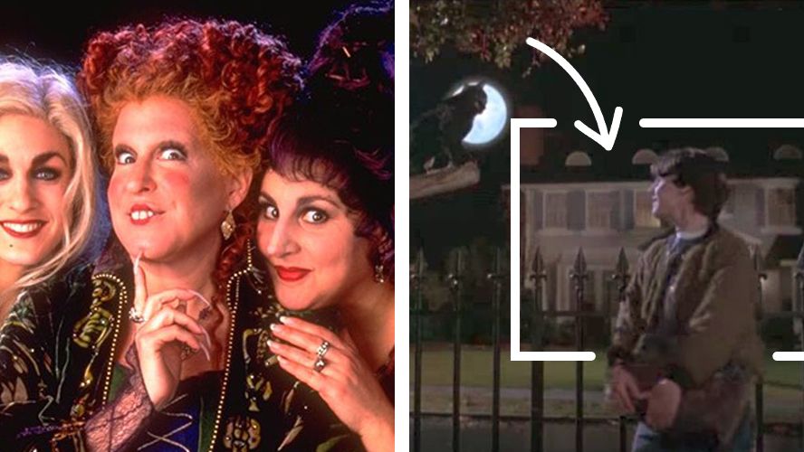 These 3 dogs dressed as the witches from 'Hocus Pocus' will make you so  happy