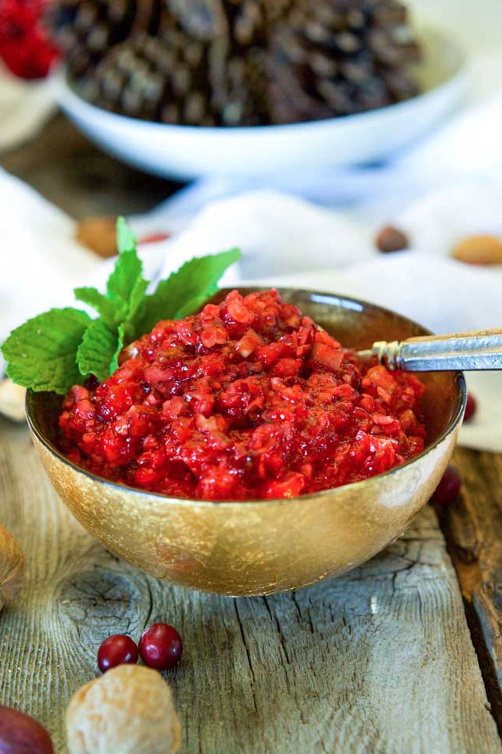 12 Easy Cranberry Relish Recipes How to Make Best Homemade Cranberry