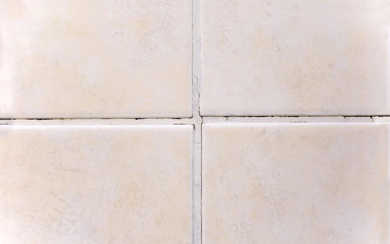 bathroom mildew