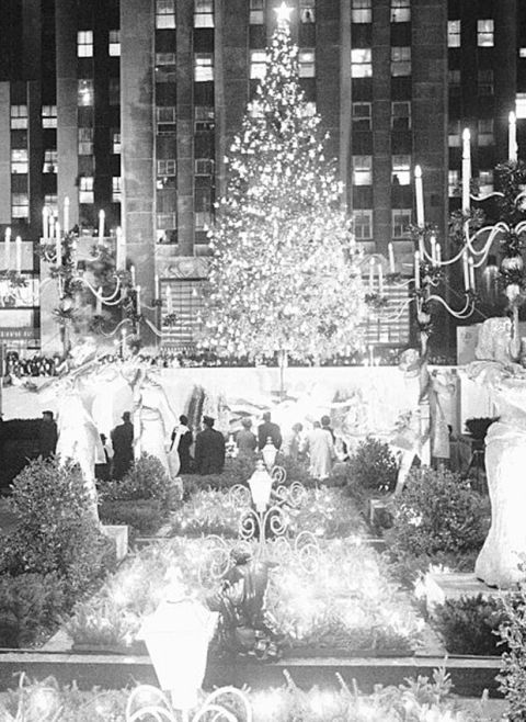 Photograph, Christmas tree, Tree, Snapshot, Black-and-white, Monochrome, Stock photography, Photography, Monochrome photography, Christmas eve, 