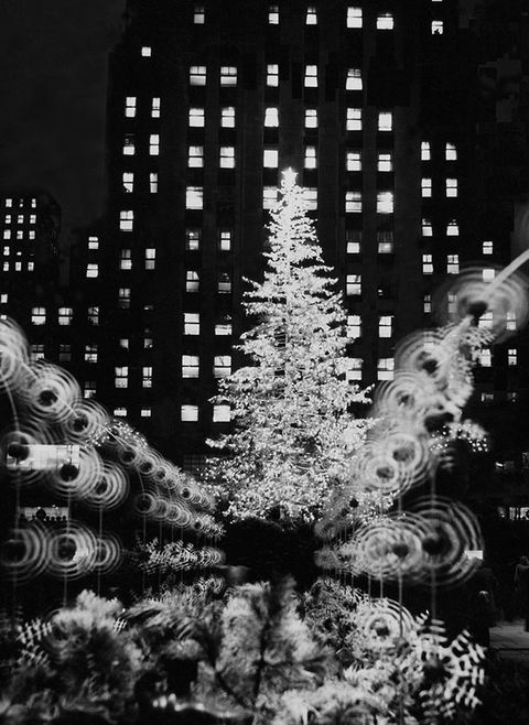 Christmas tree, Black-and-white, Tree, Monochrome photography, Christmas decoration, Branch, Monochrome, Colorado spruce, Fir, Woody plant, 