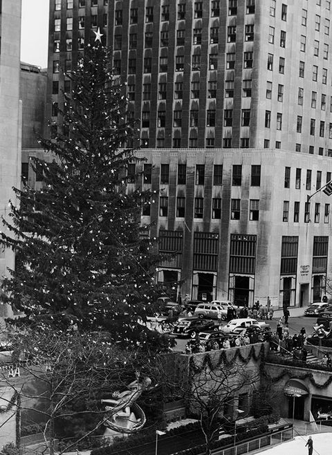 Christmas tree, Tree, Metropolitan area, Urban area, Metropolis, Black-and-white, Snapshot, Architecture, Monochrome, Human settlement, 