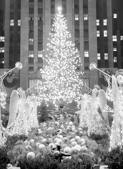 White, Christmas tree, Tree, Black-and-white, Monochrome, Monochrome photography, Christmas, Snapshot, Winter, Urban area, 
