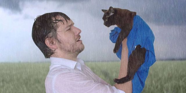 Man and His Cats Recreates Scenes From Famous Movies and It's Hilarious