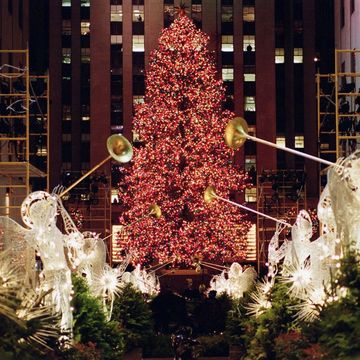 Christmas tree, Tree, Christmas, Christmas decoration, Christmas ornament, Landmark, Christmas lights, Lighting, Christmas eve, Architecture, 